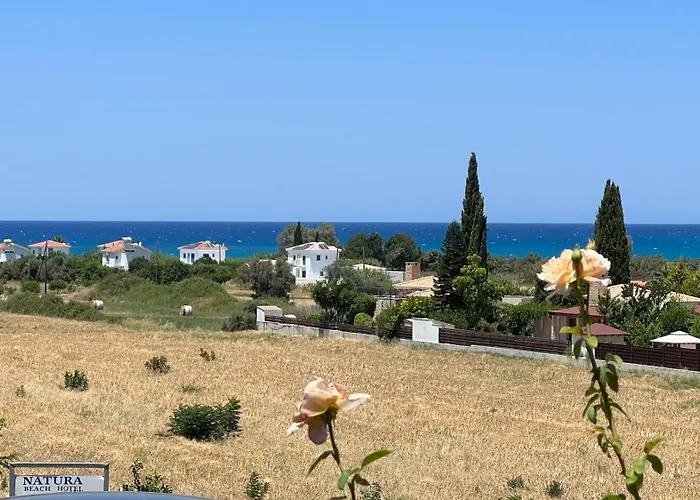 First Eco-villa ヴィラ *