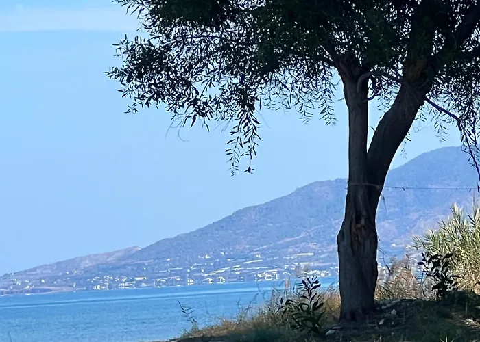 ヴィラ First Eco-villa