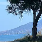 Villa First Eco-villa