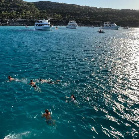 First Eco-villa Polis