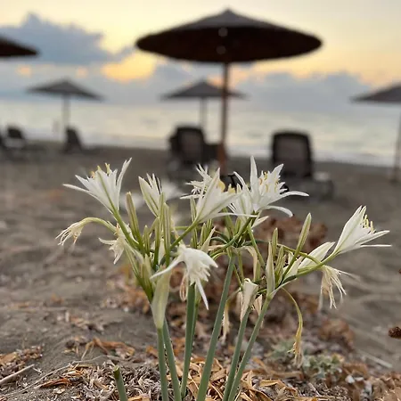 First Eco-villa 빌라 *