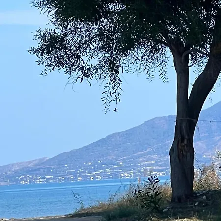 Villa First Eco-villa